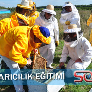 Arıcılık Sertifikası