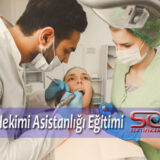 Diş Hekimi Asistanlığı Eğitimi